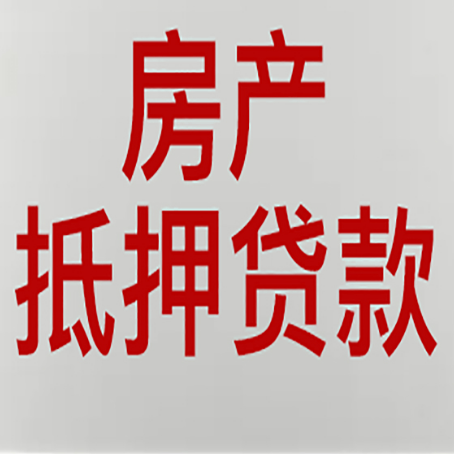 阜南贷款公司新渝启服推荐选择